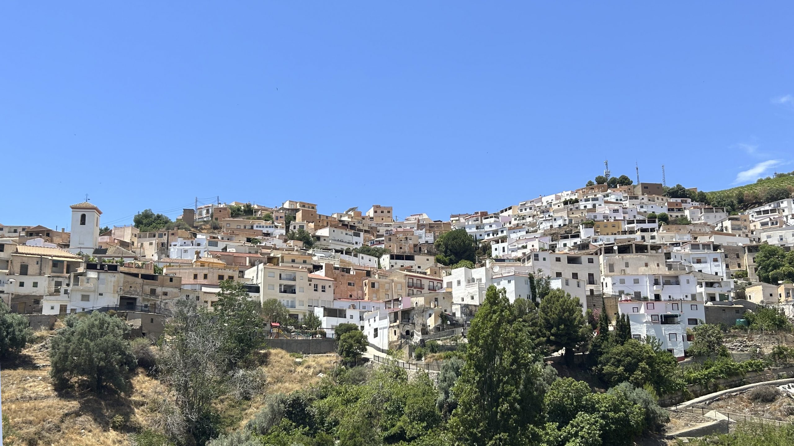 Albondón